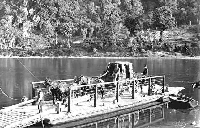 Ferry punt on Buller River