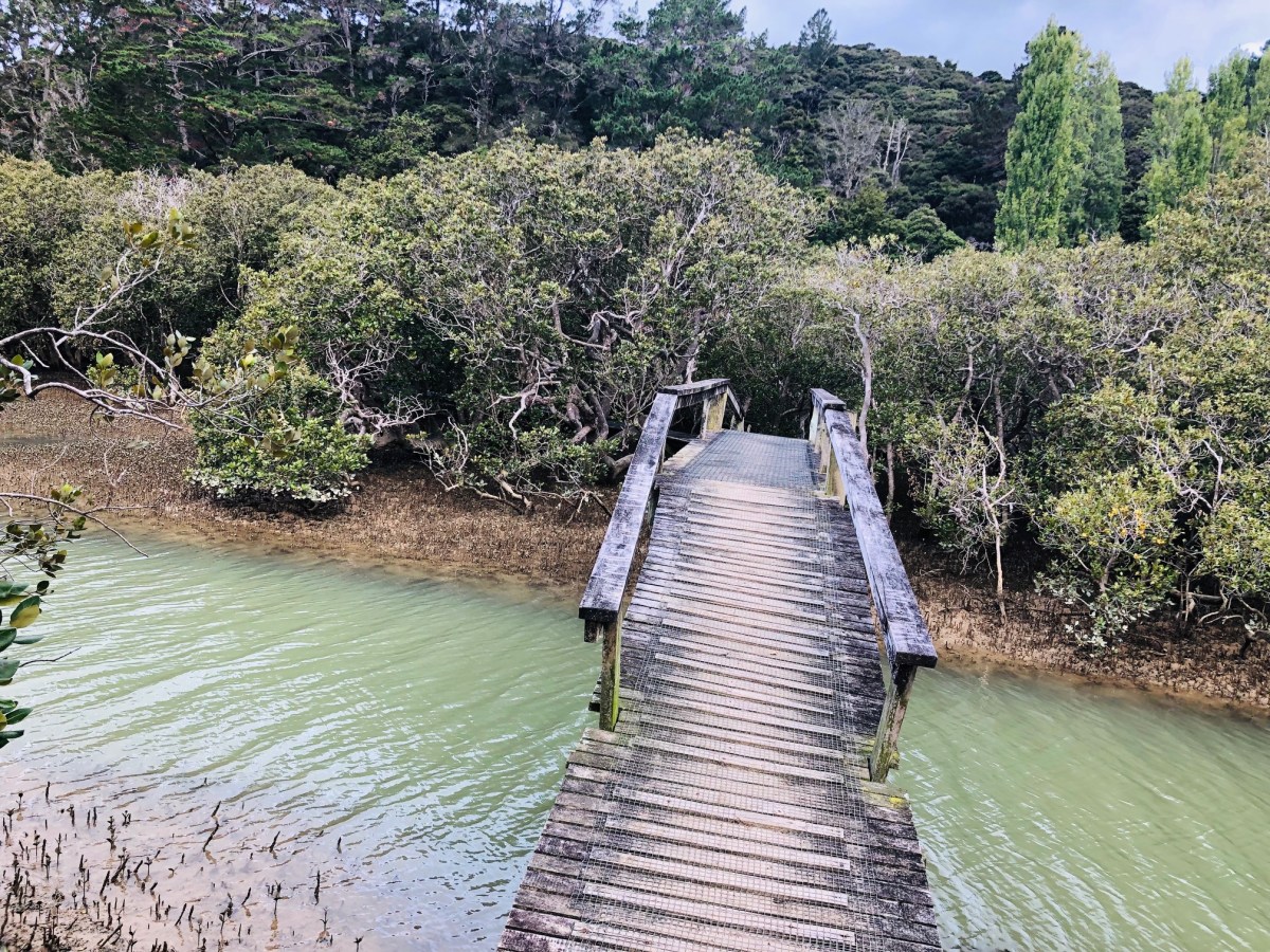 Running in Mangroves