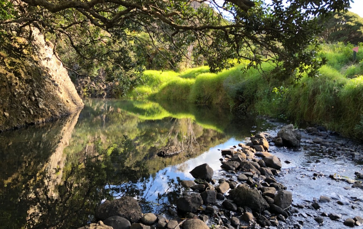 Wairakau Stream at Whangroa