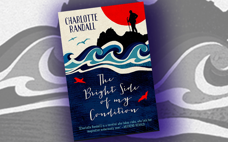 The Bright Side of My Condition — book&nbsp;review