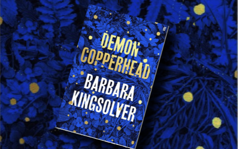 Demon Copperhead – book&nbsp;review